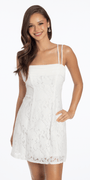 Open Lace Skater Dress with Pleated Chiffon Neckline - Camille La Vie