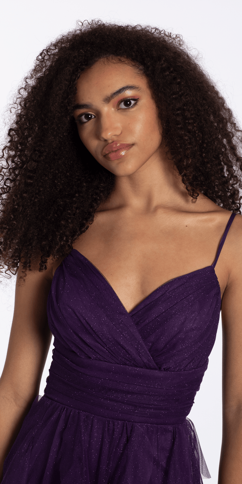 Camille La Vie Lace Up Back Tiered Glitter Mesh Fit and Flare Dress