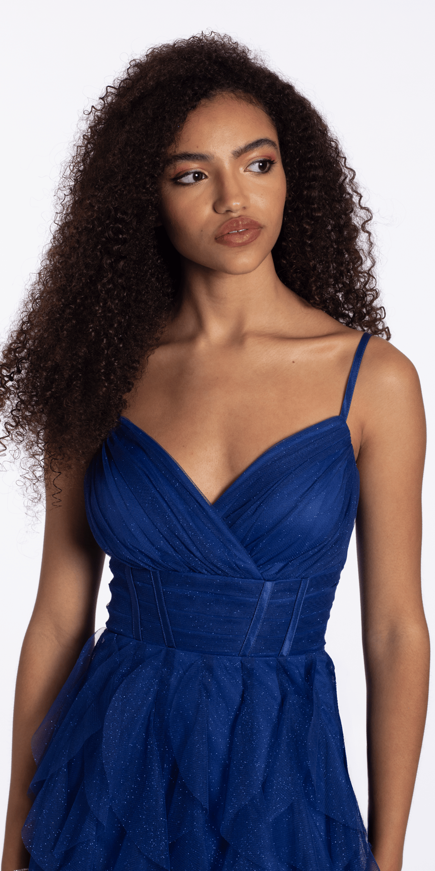 royal-blue/size/4/missy/Camille La Vie/Sweetheart Glitter Mesh Corset High Low Dress/closeup alt