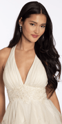 Glitter Mesh Halter Fit and Flare Dress with Embroidered Waist - Camille La Vie