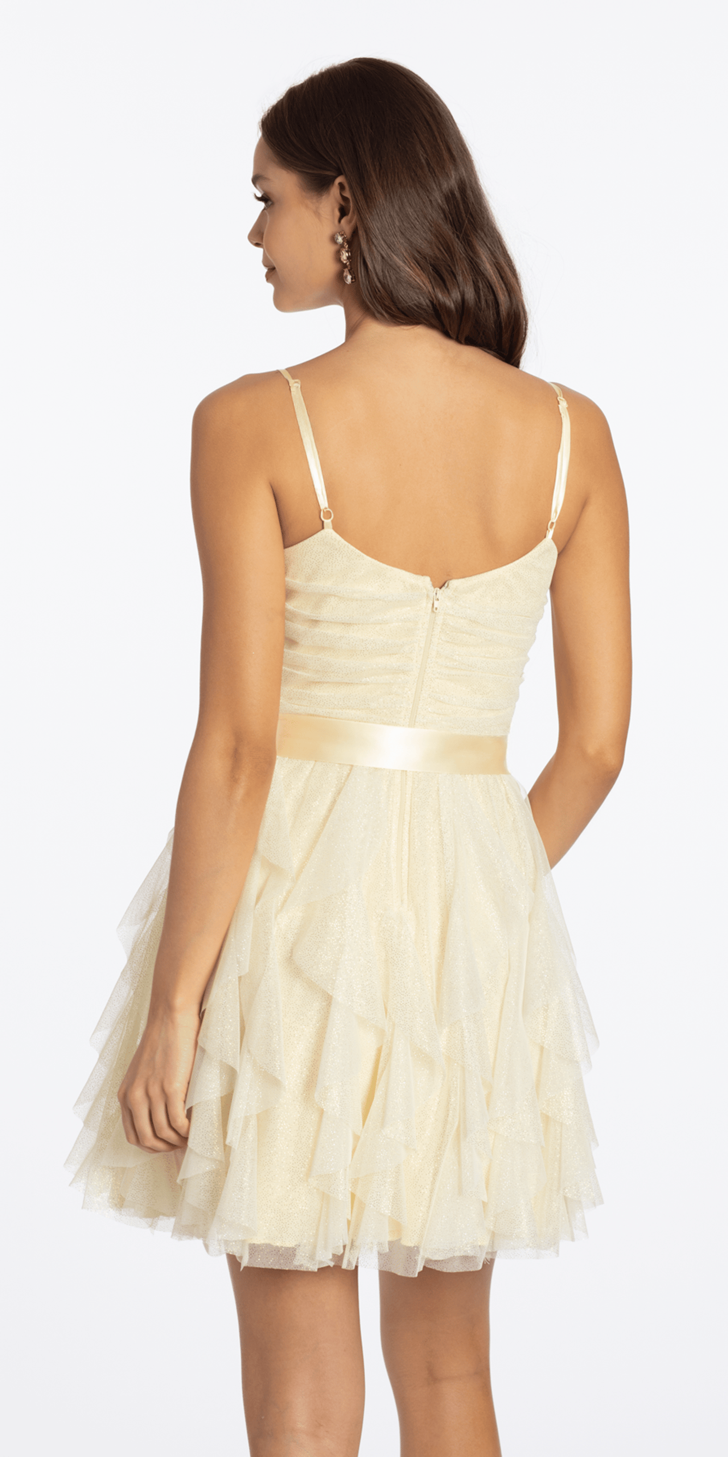 Glitter Mesh Corset Fit and Flare Dress with Satin Tie - Camille La Vie
