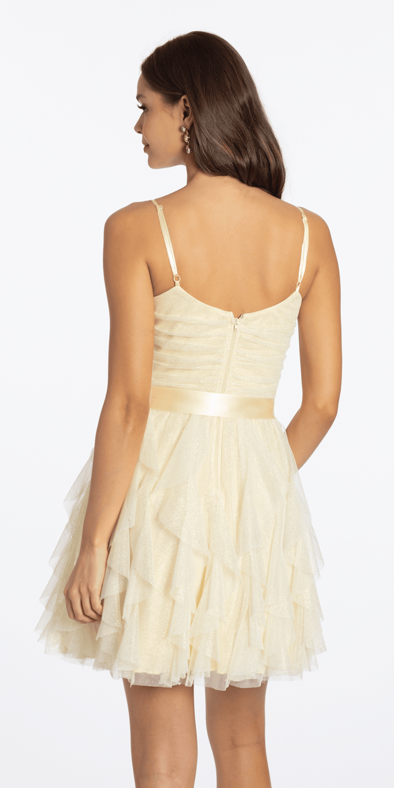 Glitter Mesh Corset Fit and Flare Dress with Satin Tie - Camille La Vie