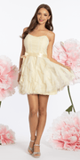 Glitter Mesh Corset Fit and Flare Dress with Satin Tie - Camille La Vie