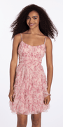 blush/size/4/missy/Camille La Vie/Mesh Posie Print Lace Up Back Sweetheart Fit and Flare Dress/front 2